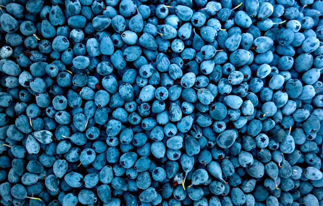 Photo wallpaper Berries, Food, Berry, Colors, Fresh, Delicious, Berries, Blueberries