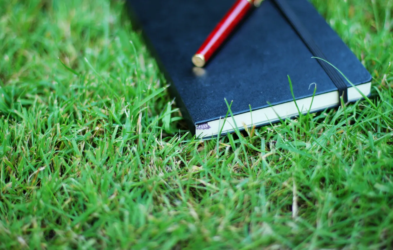 Photo wallpaper greens, grass, nature, mood, Notepad, book