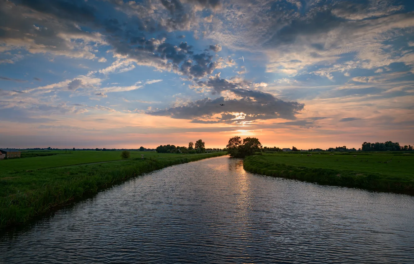 Photo wallpaper field, the sky, grass, clouds, trees, sunset, sheep, duck