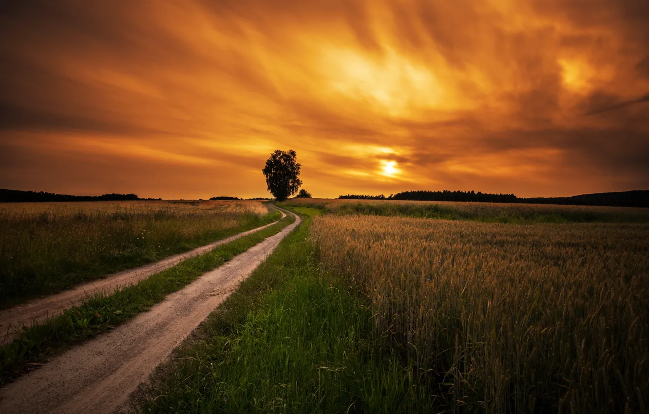 Photo wallpaper road, field, sunset