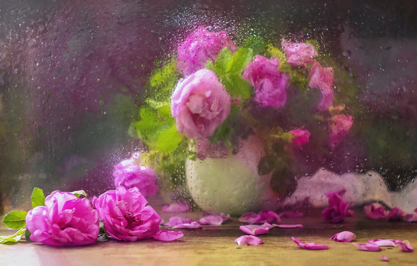 Photo wallpaper glass, water, drops, flowers, branches, petals, briar, vase