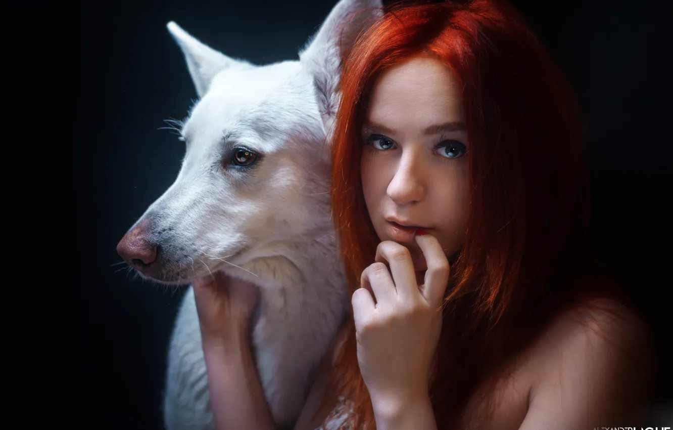 Photo wallpaper look, face, face, hand, portrait, dog, red, redhead
