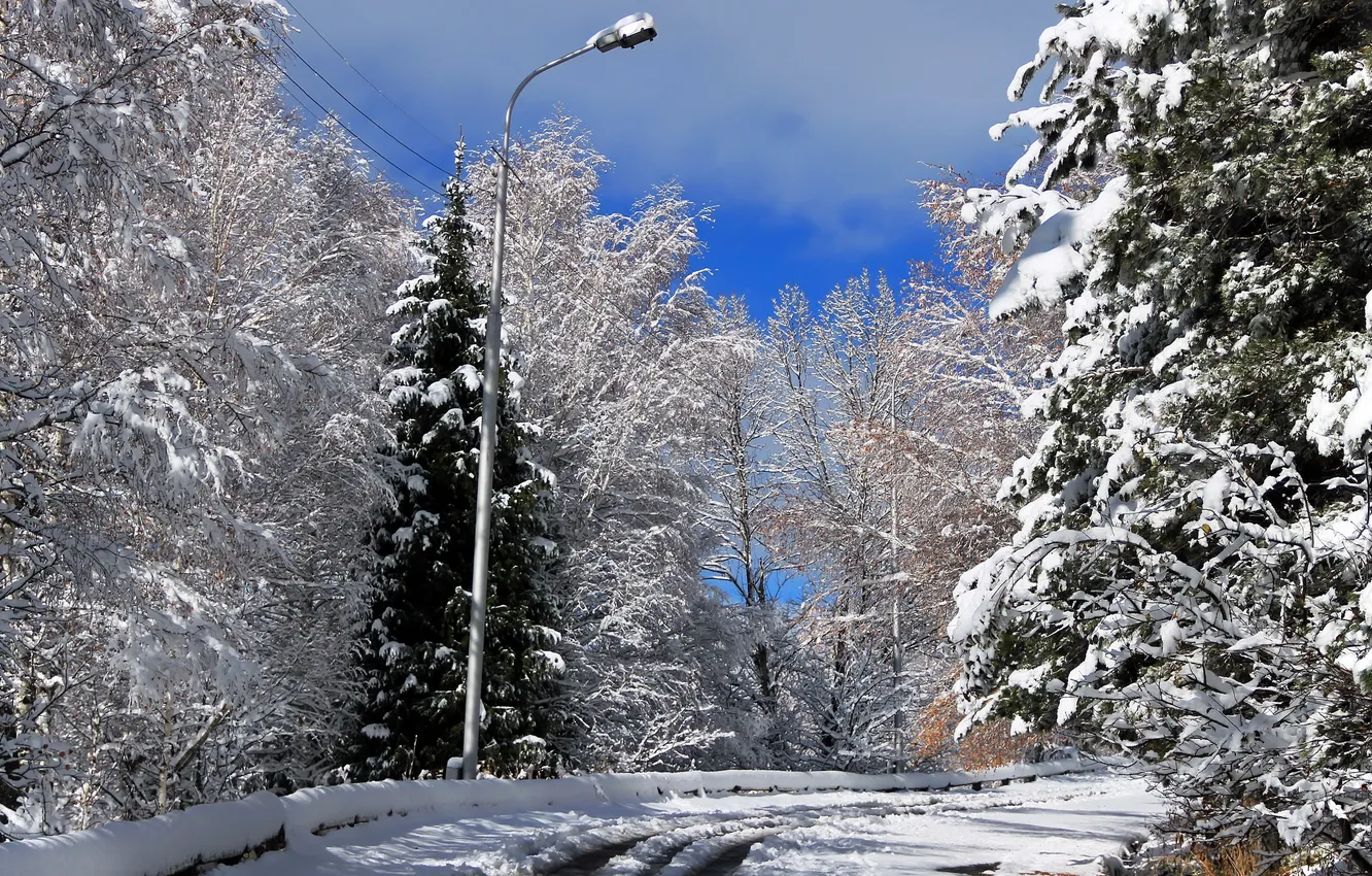 Photo wallpaper road, snow, landscape