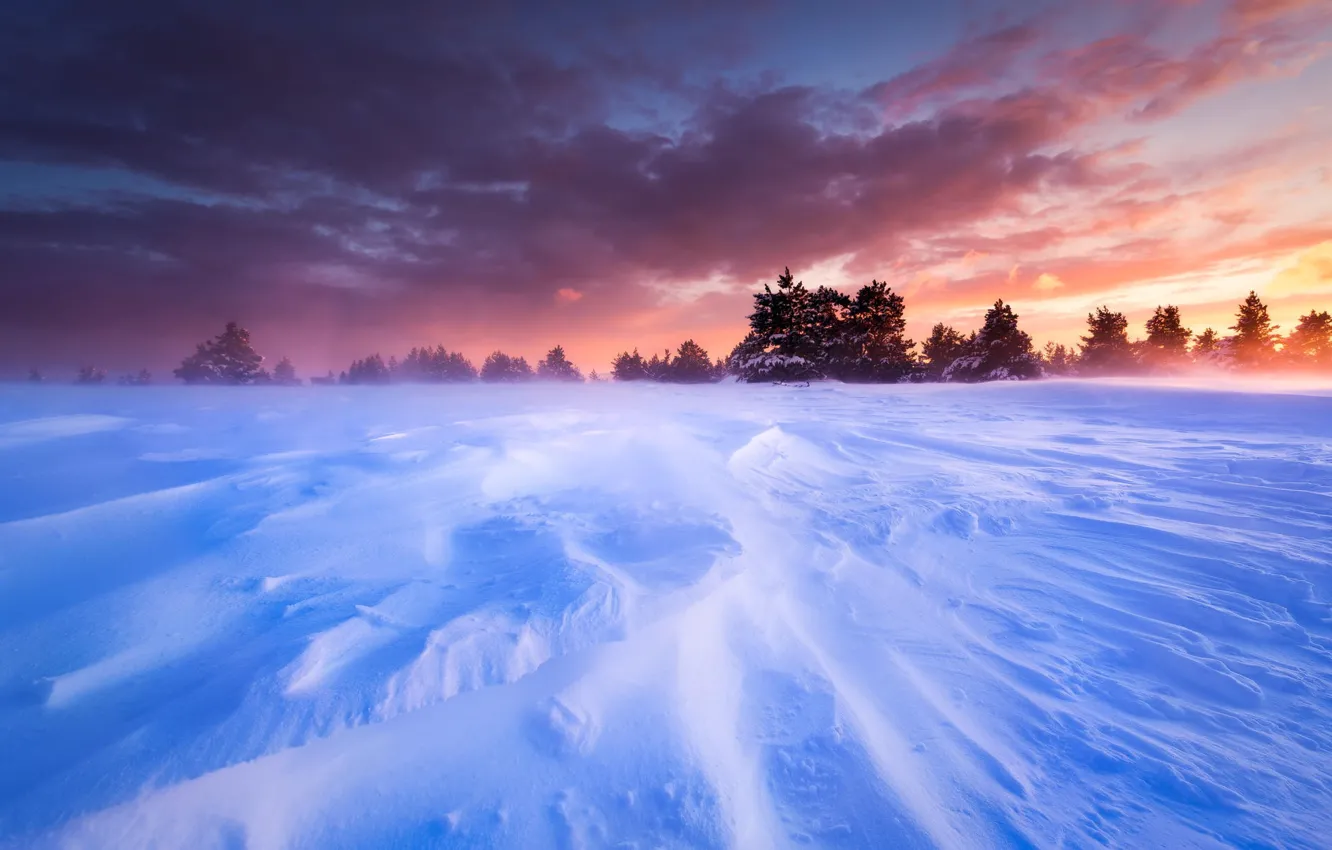 Photo wallpaper winter, the sky, snow, trees, landscape, sunset, France, plain