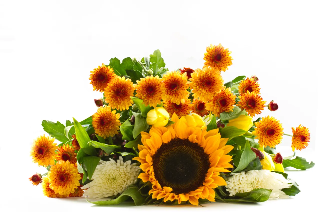Photo wallpaper sunflowers, orange, yellow, bouquet, tulips, white background, white, chrysanthemum