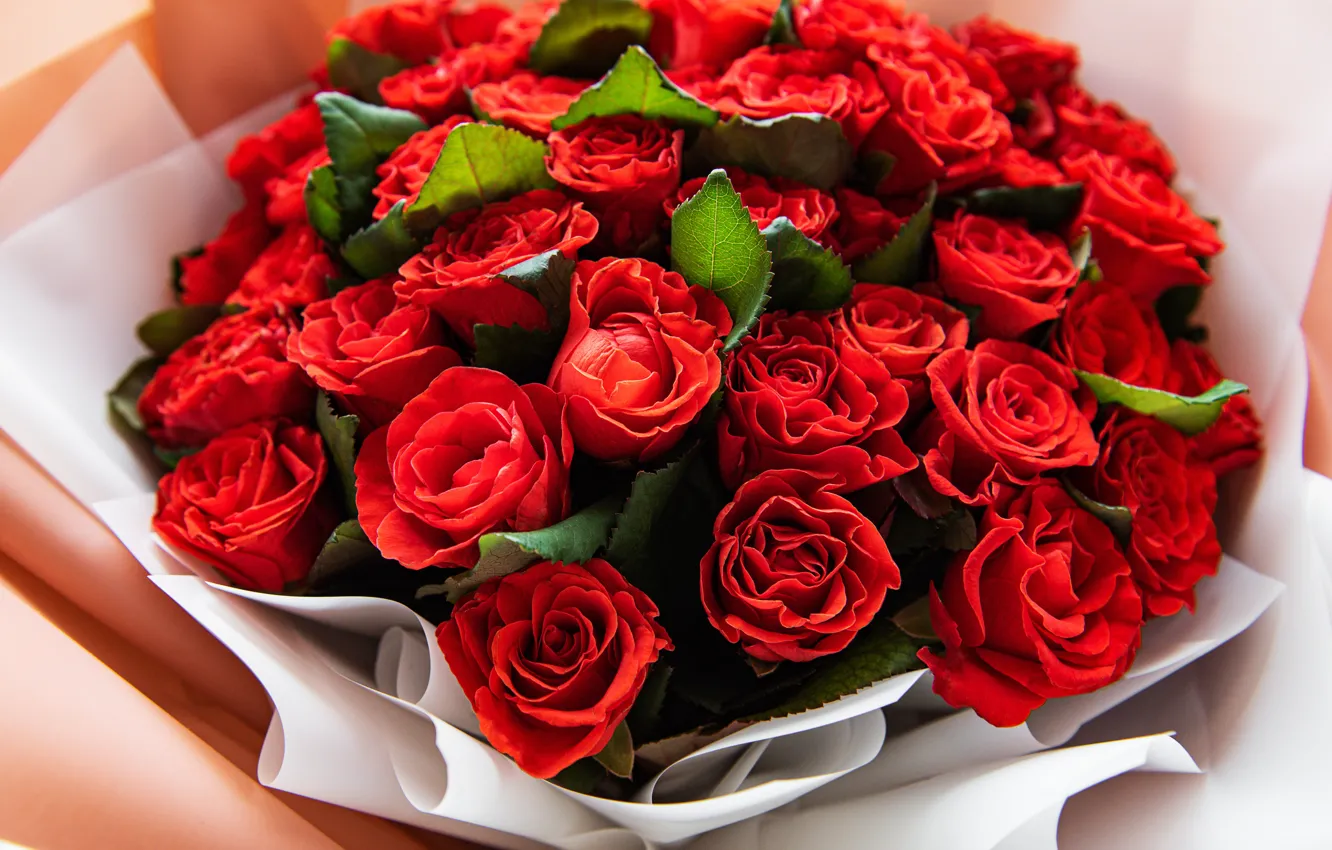 Photo wallpaper flowers, red, roses, bouquet, beautiful, buds
