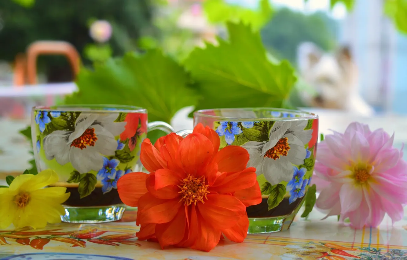 Photo wallpaper Flowers, Cup, Flowers