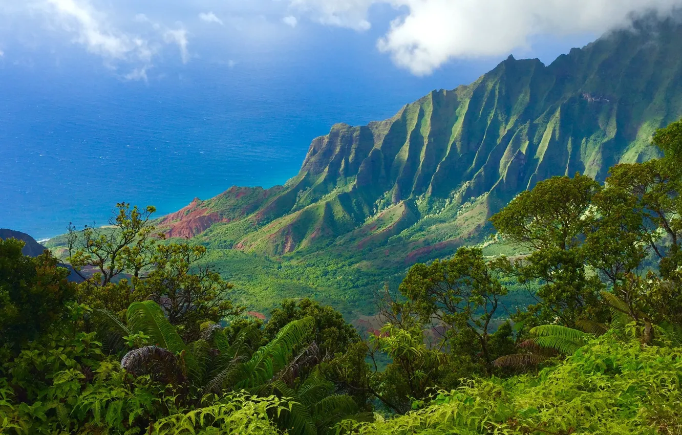 Photo wallpaper sea, trees, mountains, Hawaii, Kauai, The Nā Pali Coast State Park