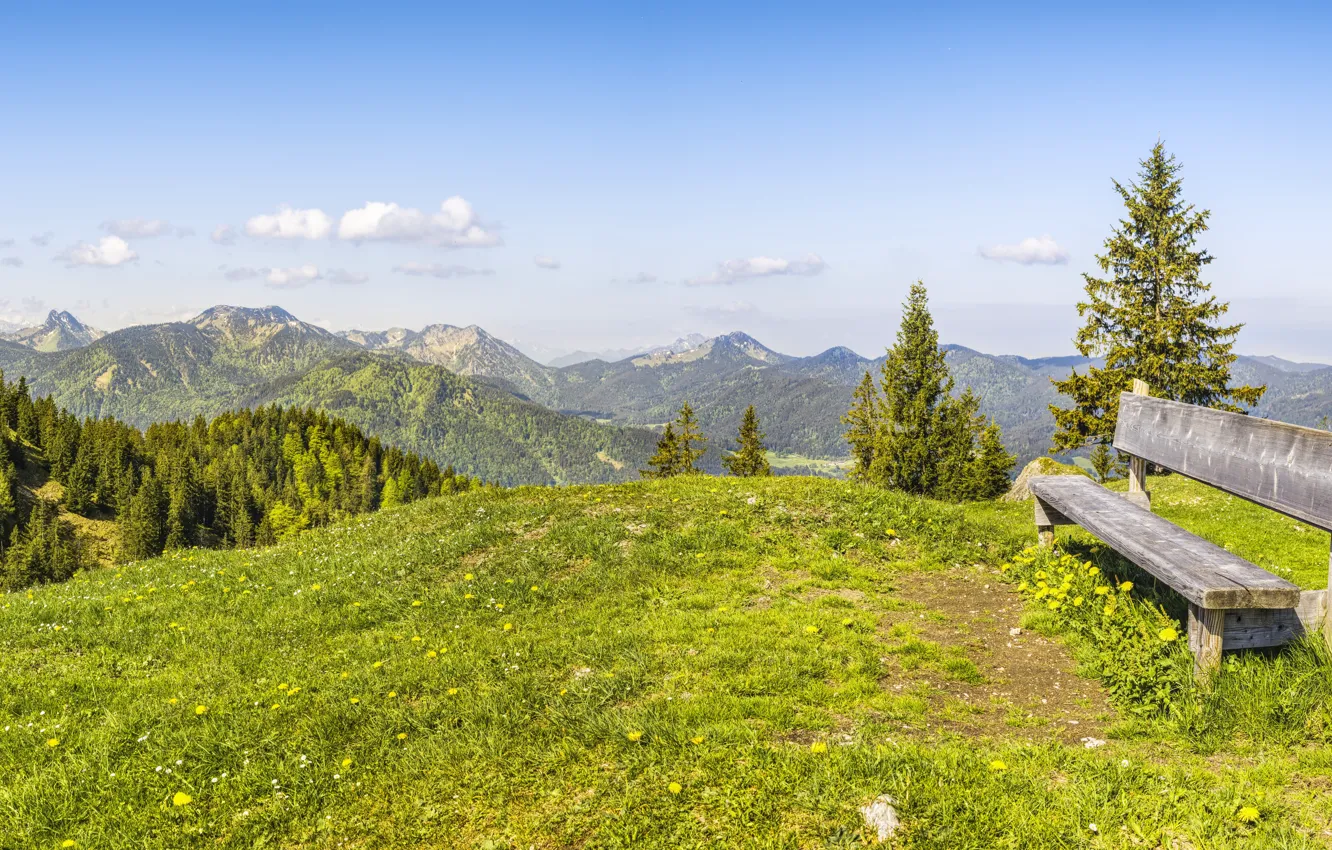Photo wallpaper forest, landscape, mountains, nature, tops, shop