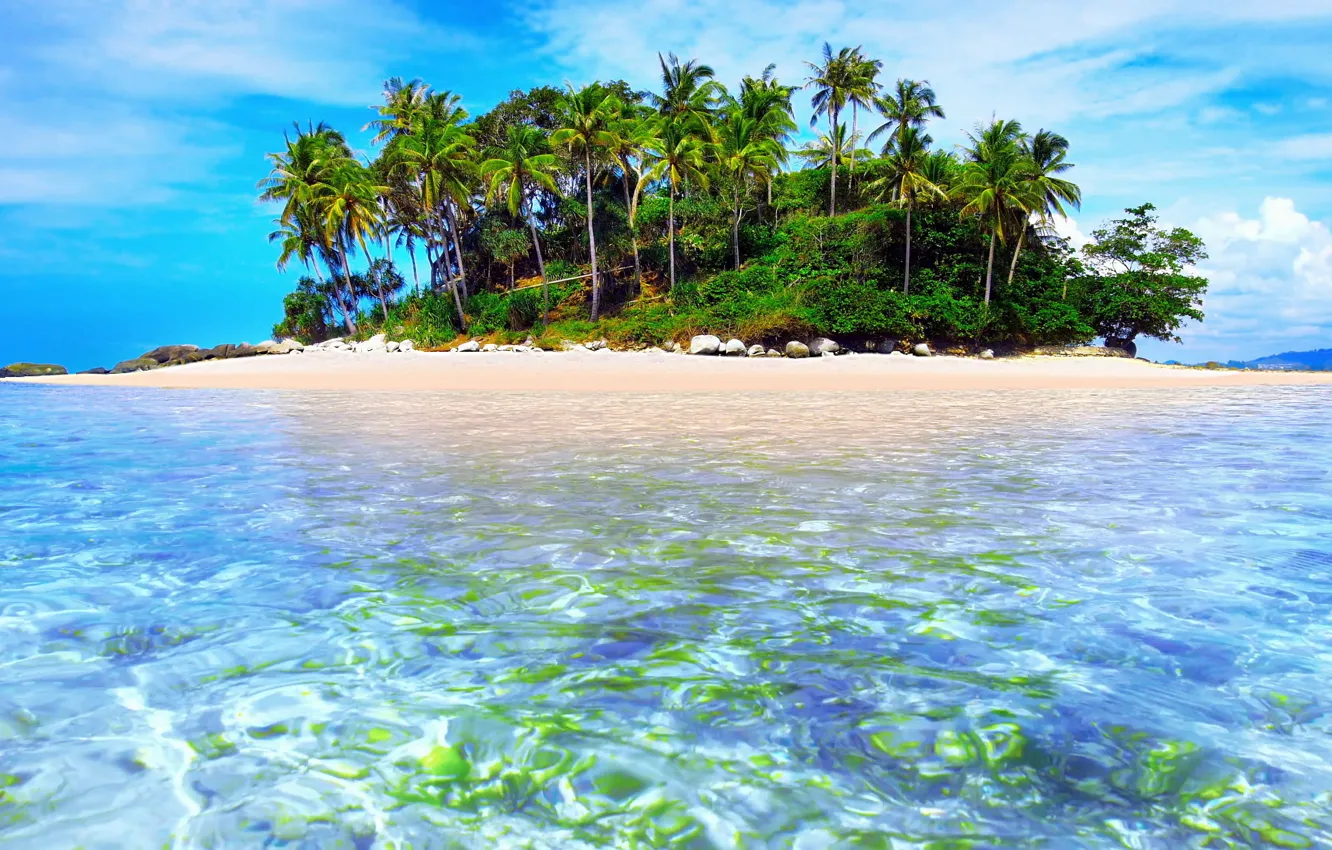 Photo wallpaper tropics, palm trees, the ocean, island, exotic