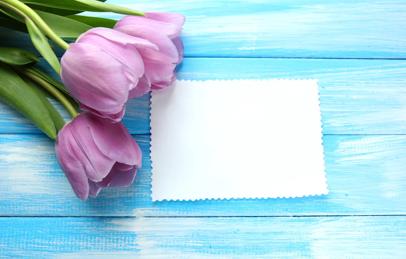 Photo wallpaper flowers, bouquet, tulips, wood, flowers, tulips, postcard, spring