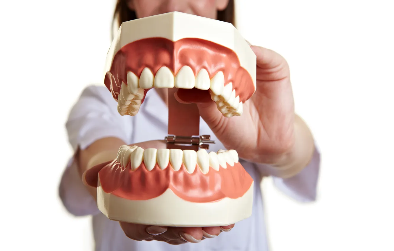 Photo wallpaper teeth, dentist, teeth showing