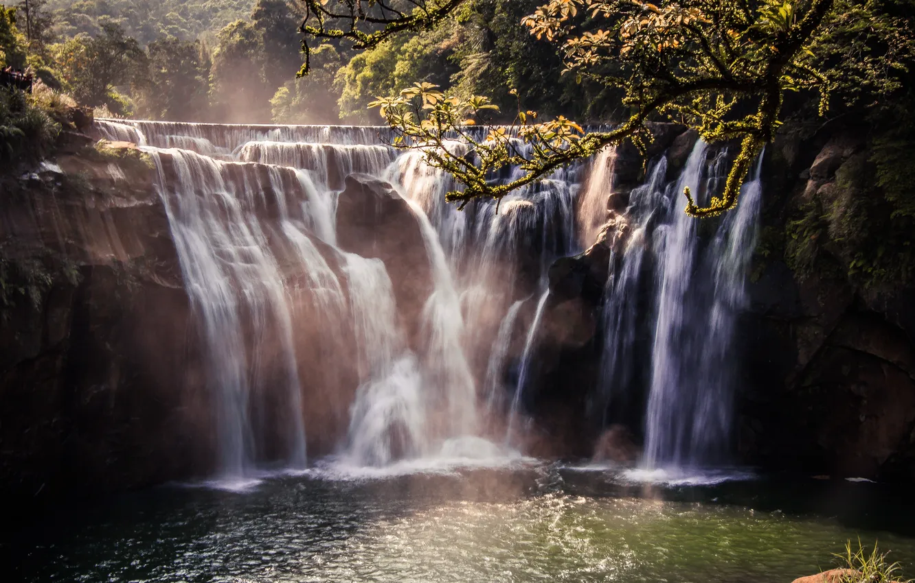 Photo wallpaper trees, nature, waterfall, beautiful place