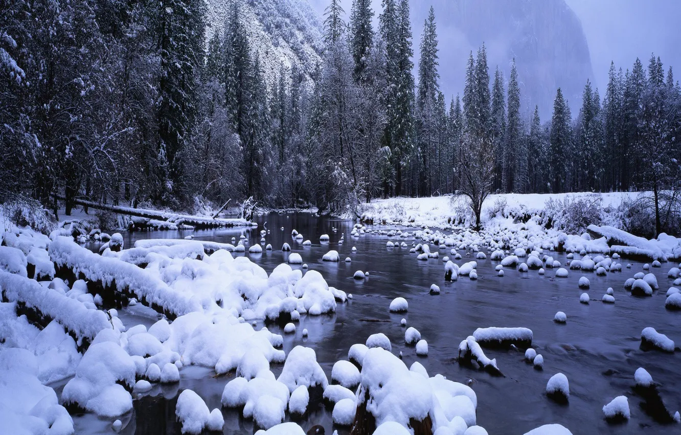 Photo wallpaper FOREST, WATER, FROST, SNOW, WINTER, RIVER