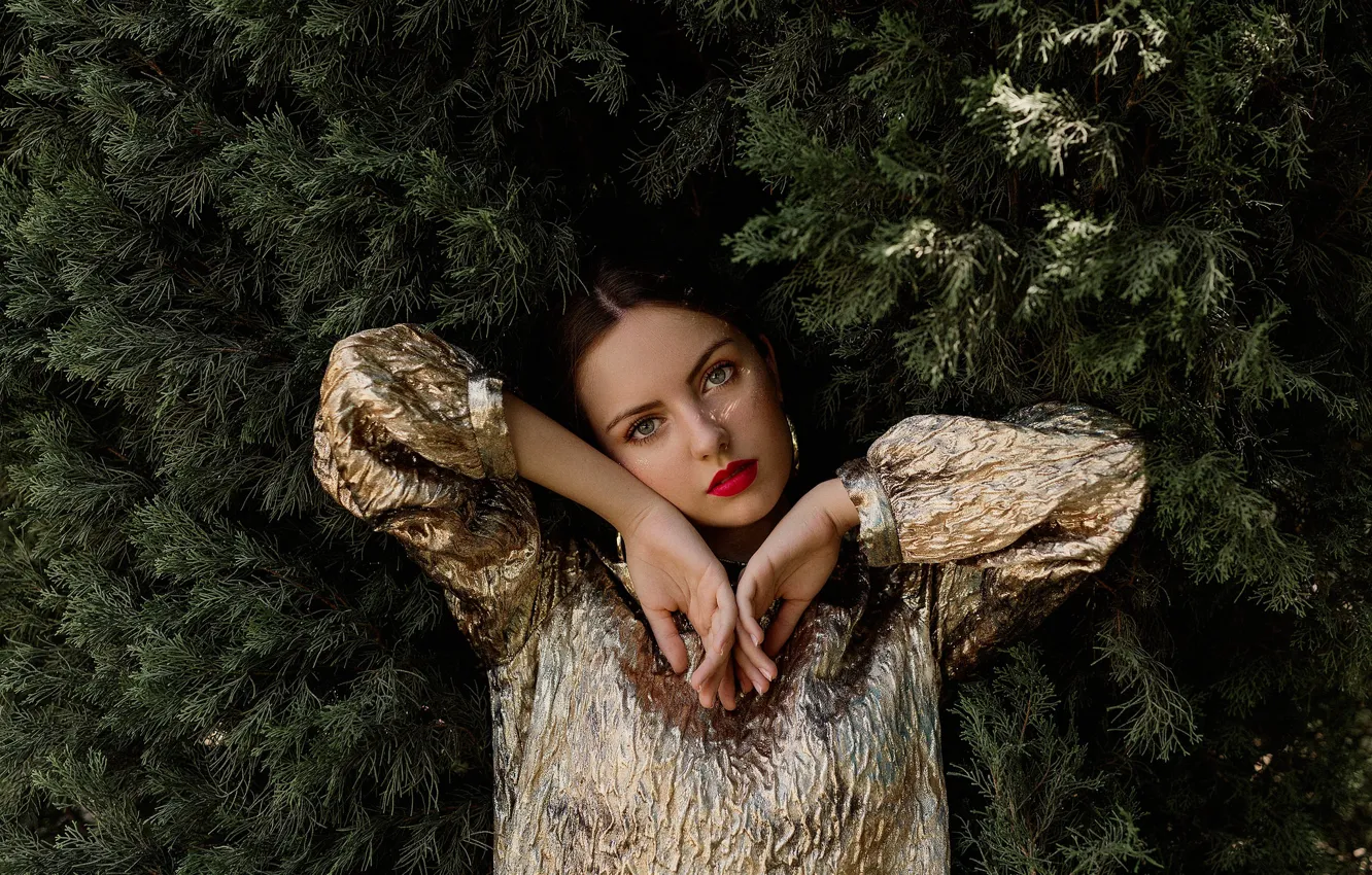 Photo wallpaper look, girl, branches, mood, hands