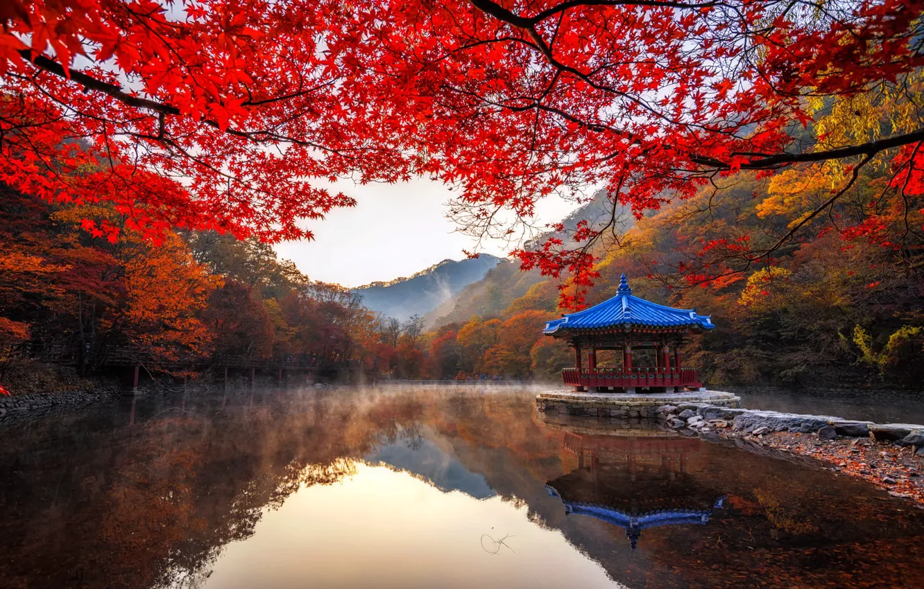 Photo wallpaper autumn, trees, landscape, mountains, branches, nature, fog, pond