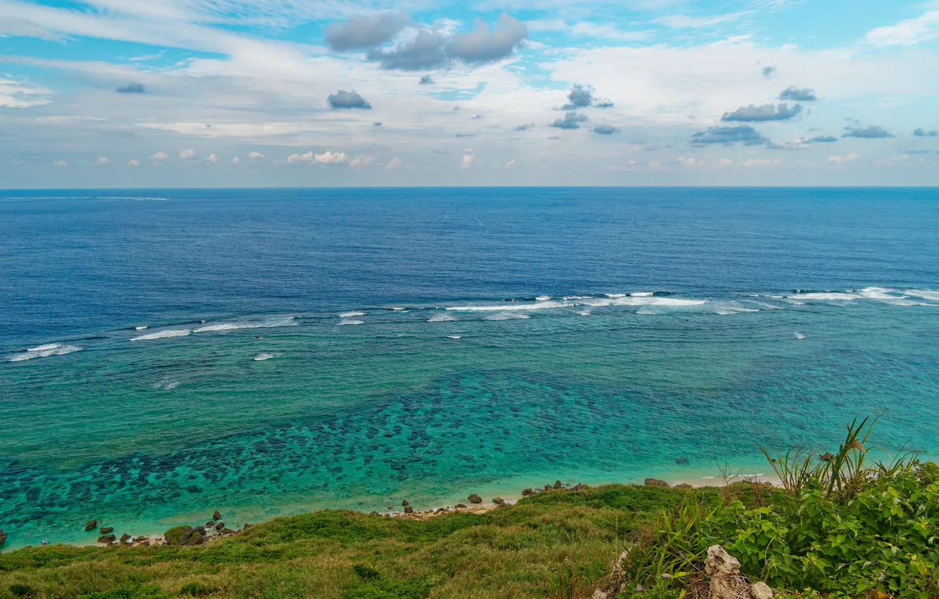 Photo wallpaper sea, beach, summer, the sky, grass, clouds, shore, view