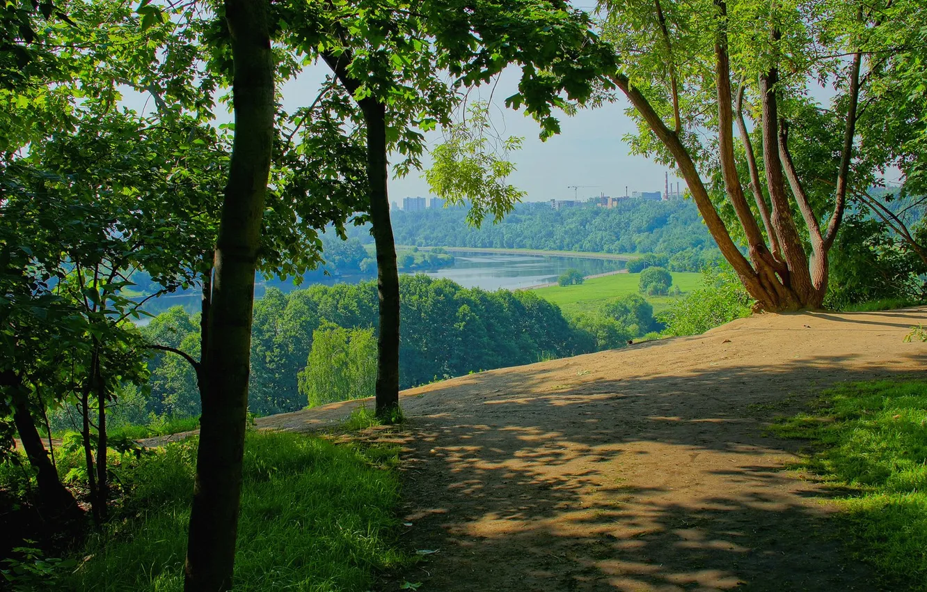 Photo wallpaper forest, the sky, grass, clouds, trees, landscape, nature, river