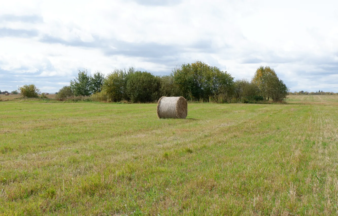 Photo wallpaper field, autumn, the sky, green, earth, hay, Ostankino Tower, ochre