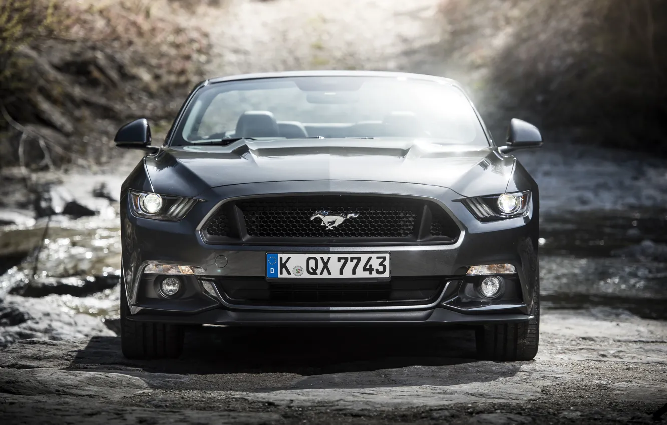 Photo wallpaper Mustang, Ford, Mustang, convertible, Ford, Convertible, 2015, EU-spec