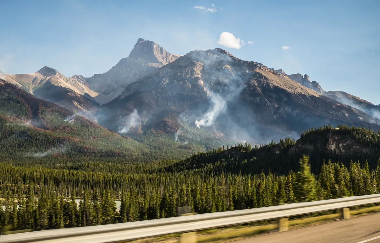 Photo wallpaper forest, the sky, mountains