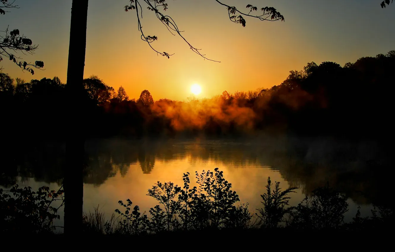 Photo wallpaper nature, lake, reflection, the bushes