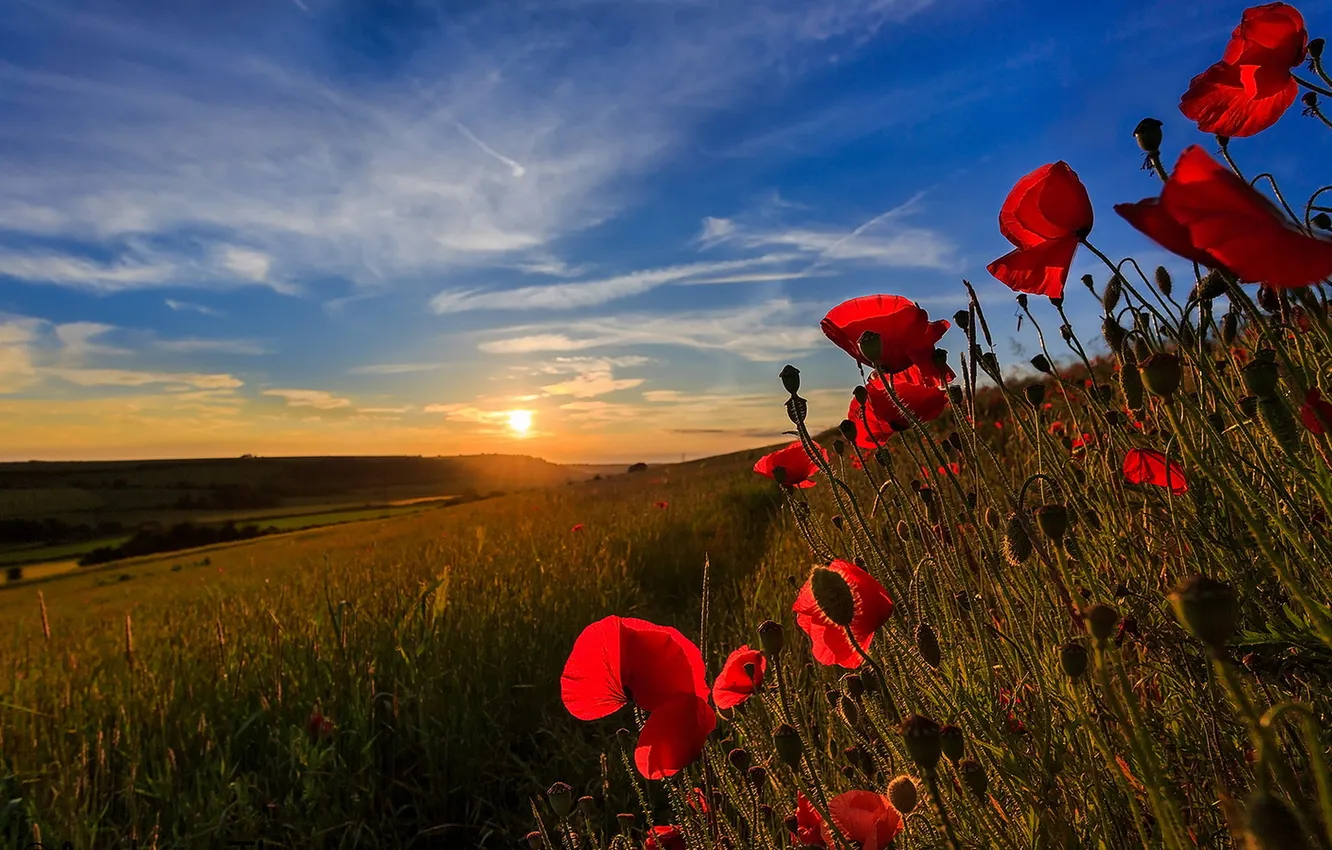 Photo wallpaper landscape, sunset, nature, Maki