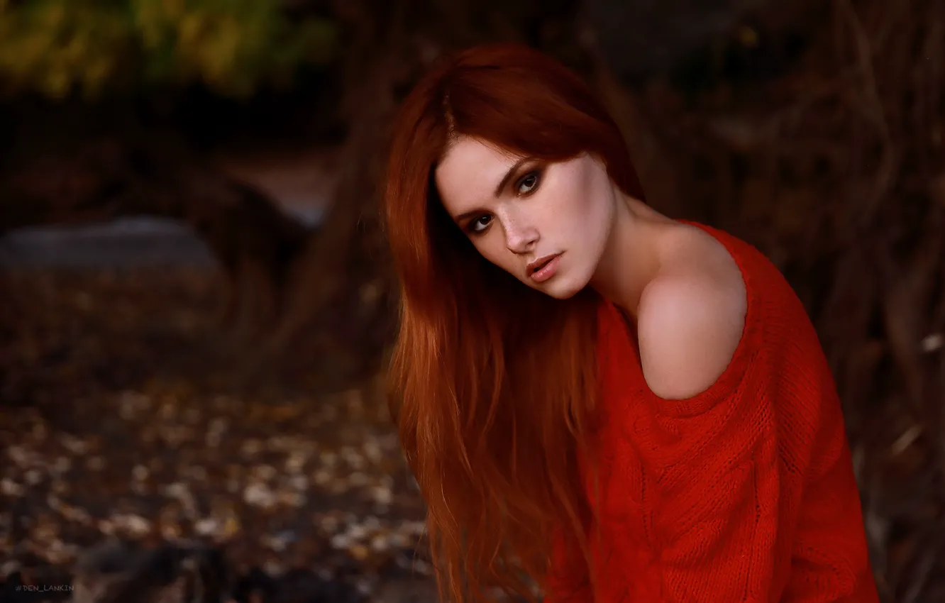 Photo wallpaper look, girl, face, red, shoulders, redhead, long hair, sweater
