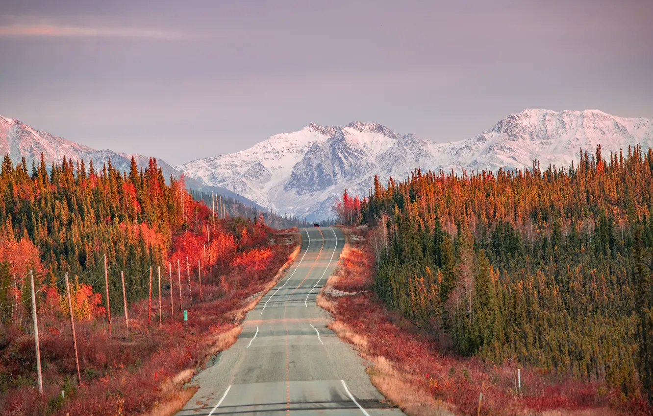 Photo wallpaper road, autumn, forest, mountains, highway