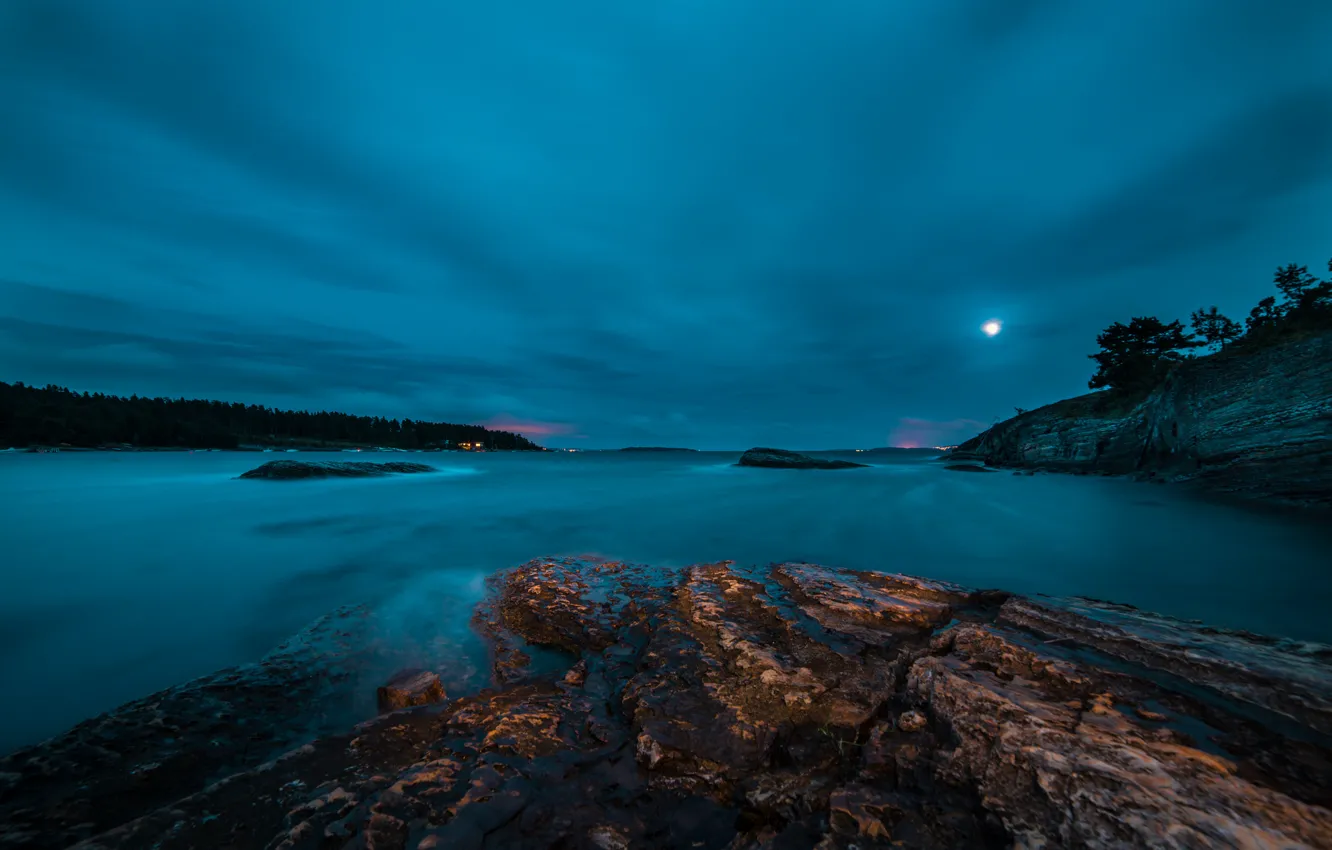Photo wallpaper forest, night, lake, rocks, the moon