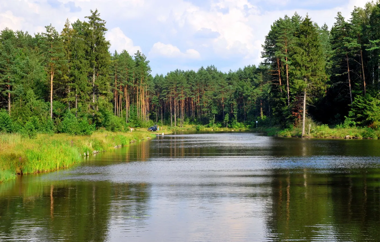 Photo wallpaper forest, river, channel, Lithuania, Lazdijai, August