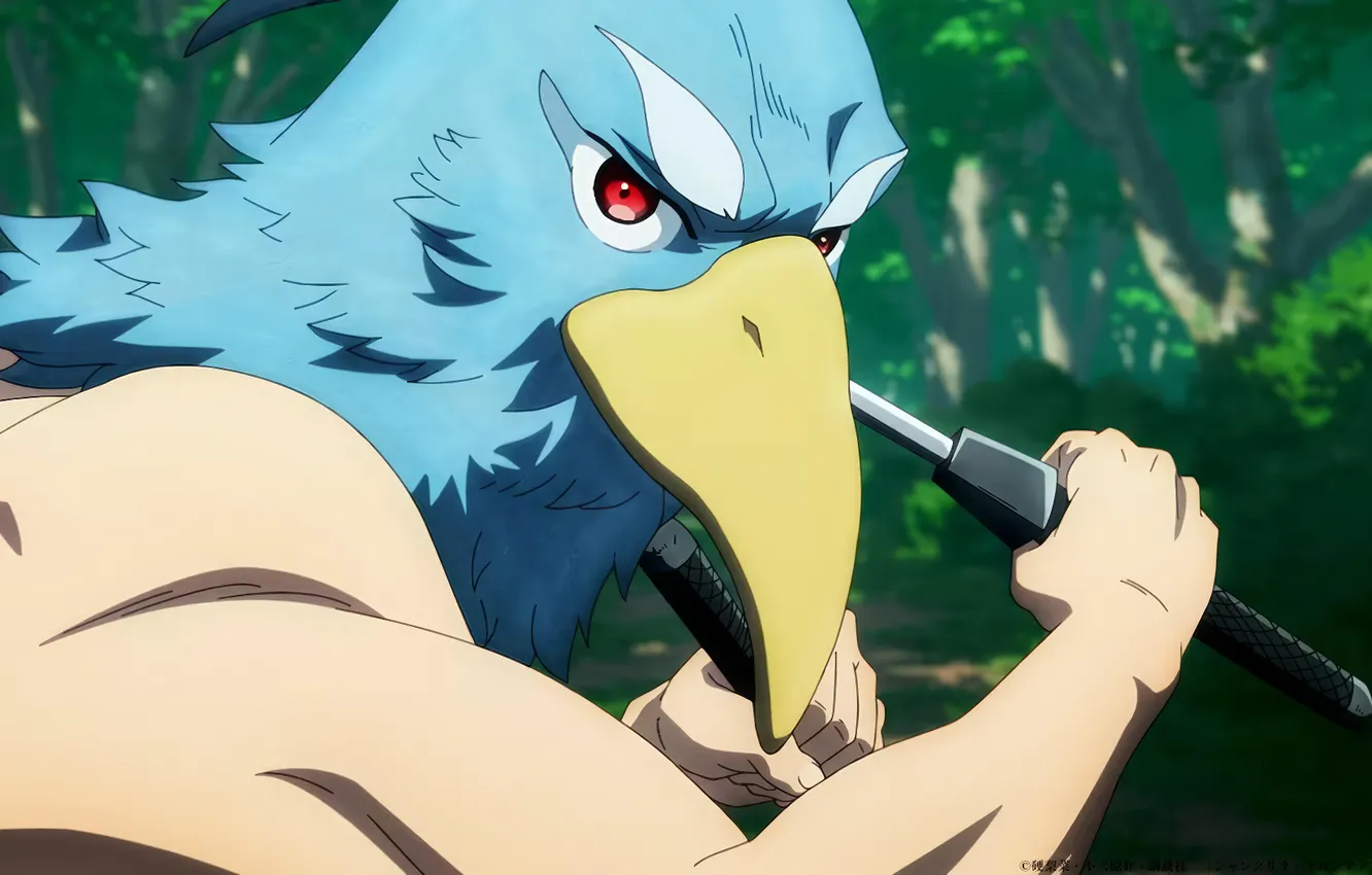 Photo wallpaper game, forest, bird, anime, boy, asian, player, manga