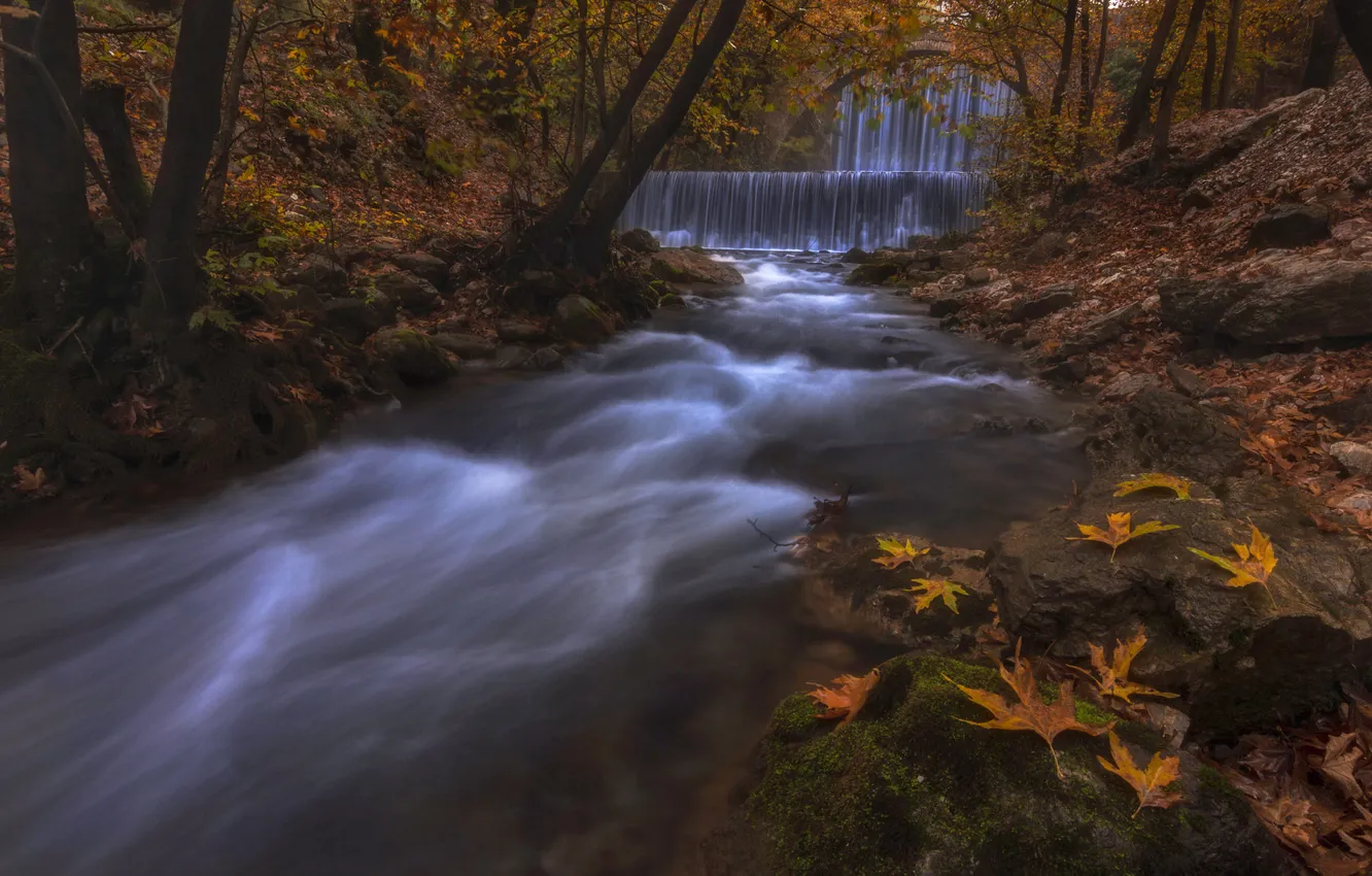 Photo wallpaper autumn, forest, leaves, bridge, nature, stones, rocks, shore