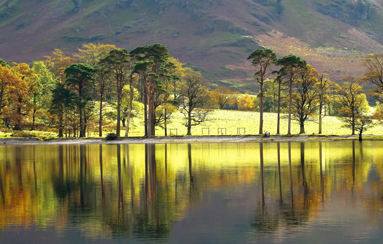 Photo wallpaper trees, landscape, lake