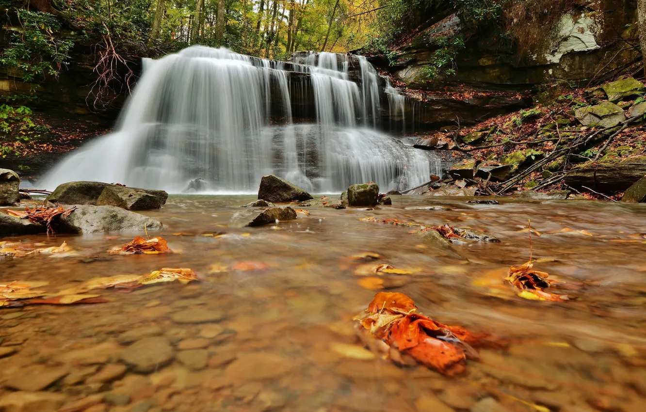 Photo wallpaper autumn, water, waterfall, stream, water, autumn, leaves, waterfall