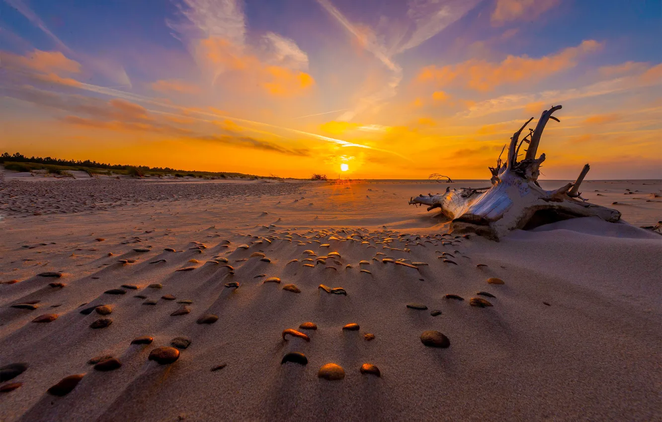 Photo wallpaper sand, beach, the sky, the sun, clouds, light, sunset, branches