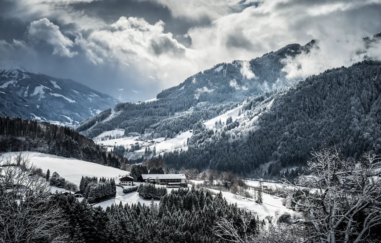 Photo wallpaper winter, forest, snow, mountains, home, slope