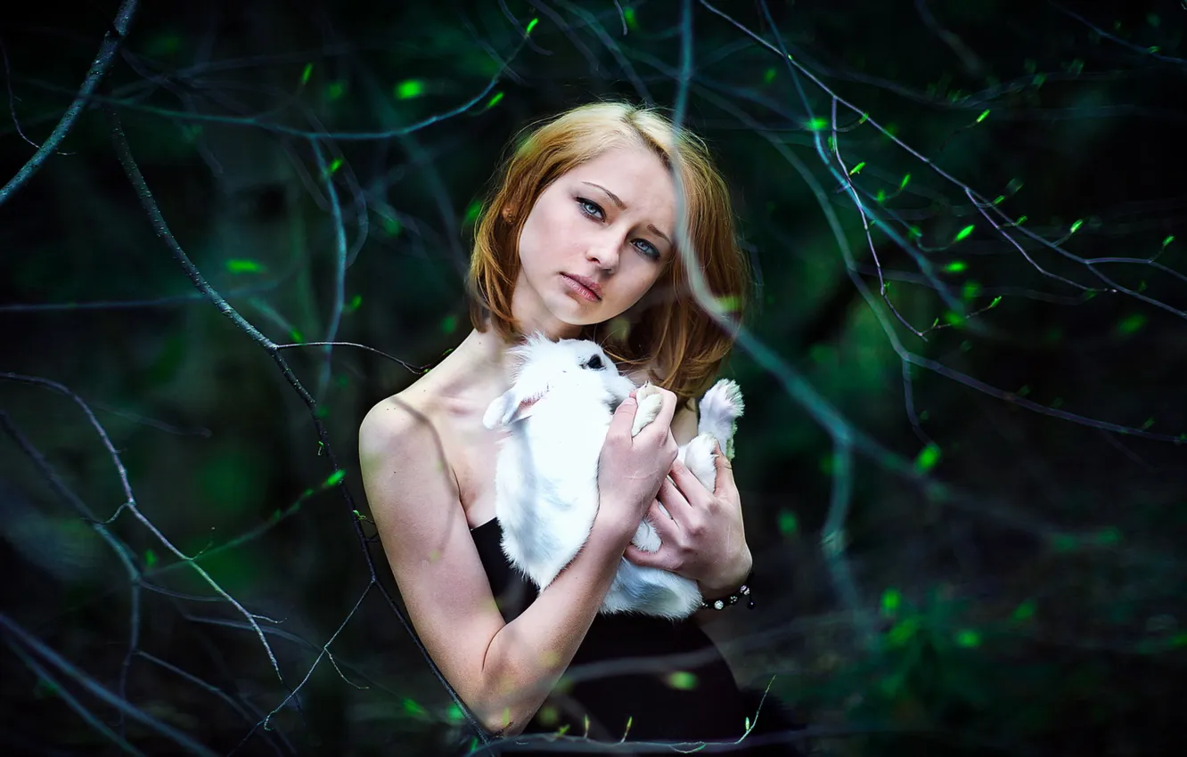 Photo wallpaper girl, mood, rabbit