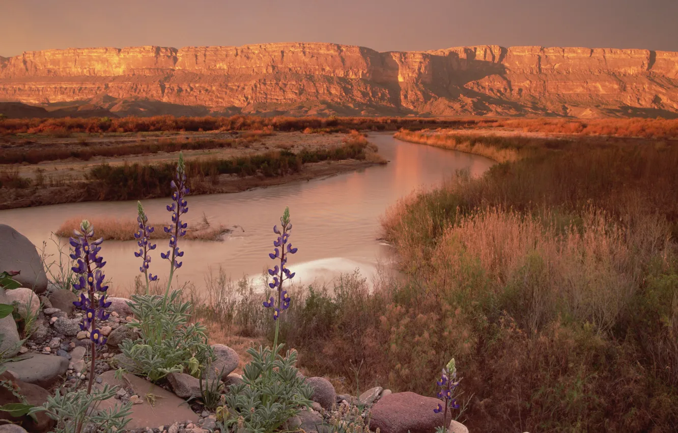 Photo wallpaper sunset, flowers, river, stones, rocks, canyon, snapdragons