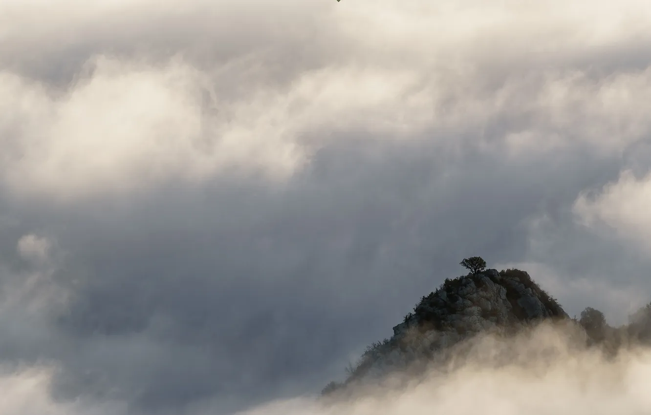 Photo wallpaper clouds, trees, nature, fog, rocks