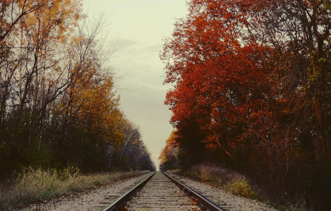 Photo wallpaper sky, trees, autumn, railway, foliage