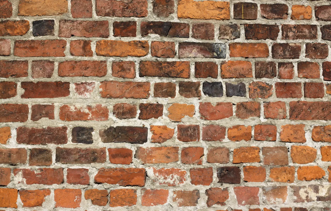 Photo wallpaper bricks, pattern, different colors, cement, different sizes