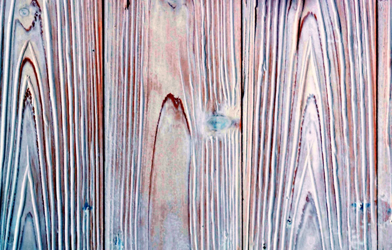 Photo wallpaper trees, color, texture