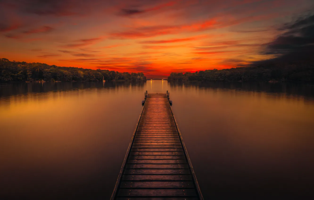 Photo wallpaper forest, the sky, landscape, lake, surface