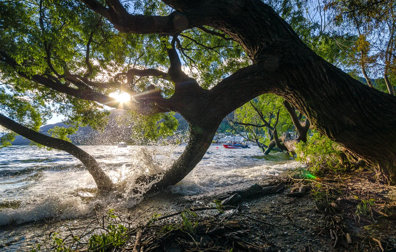 Photo wallpaper the sky, water, trees, sunset, mountains, lake, New Zealand, boat