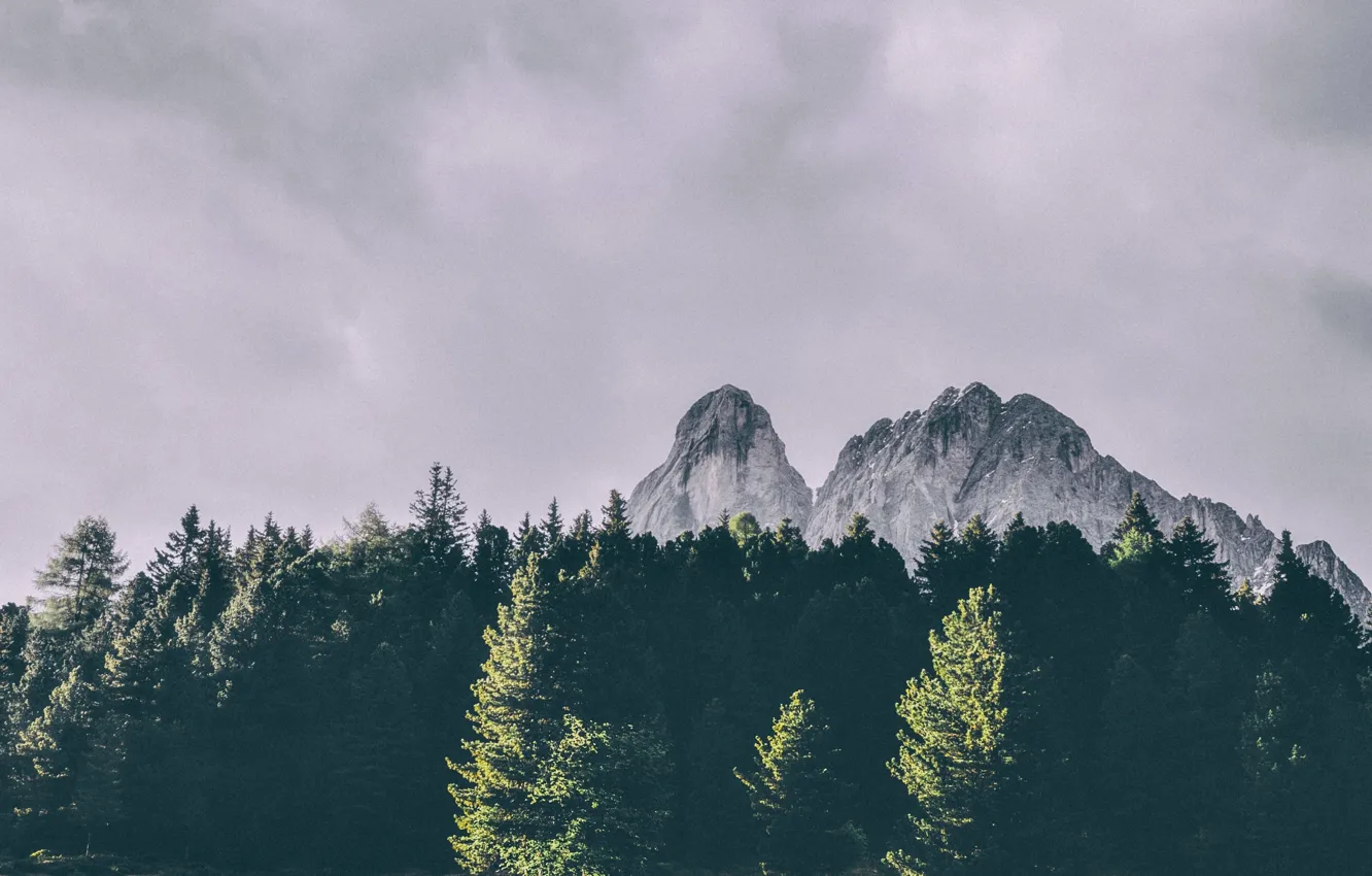 Photo wallpaper forest, the sky, clouds, trees, mountains, nature, rocks, Italy