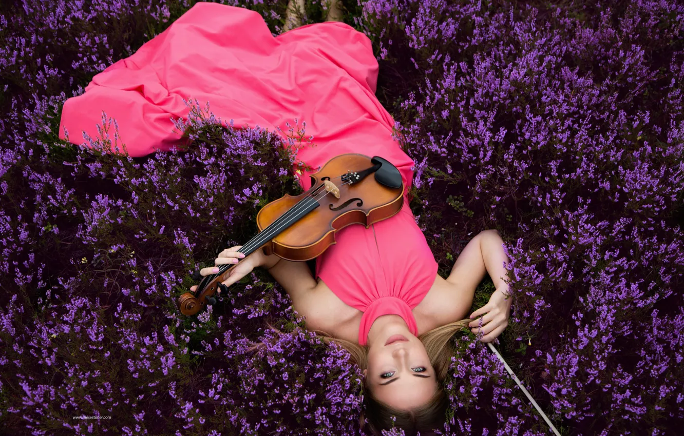 Photo wallpaper flowers, violin, dress