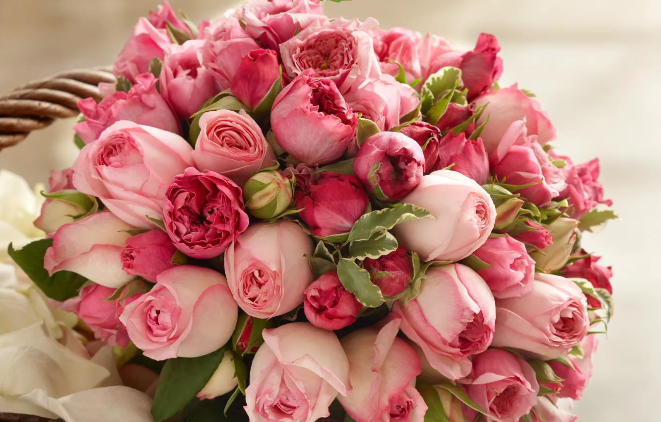 Photo wallpaper roses, beauty, bouquet, petals, pink, buds, pink, Roses
