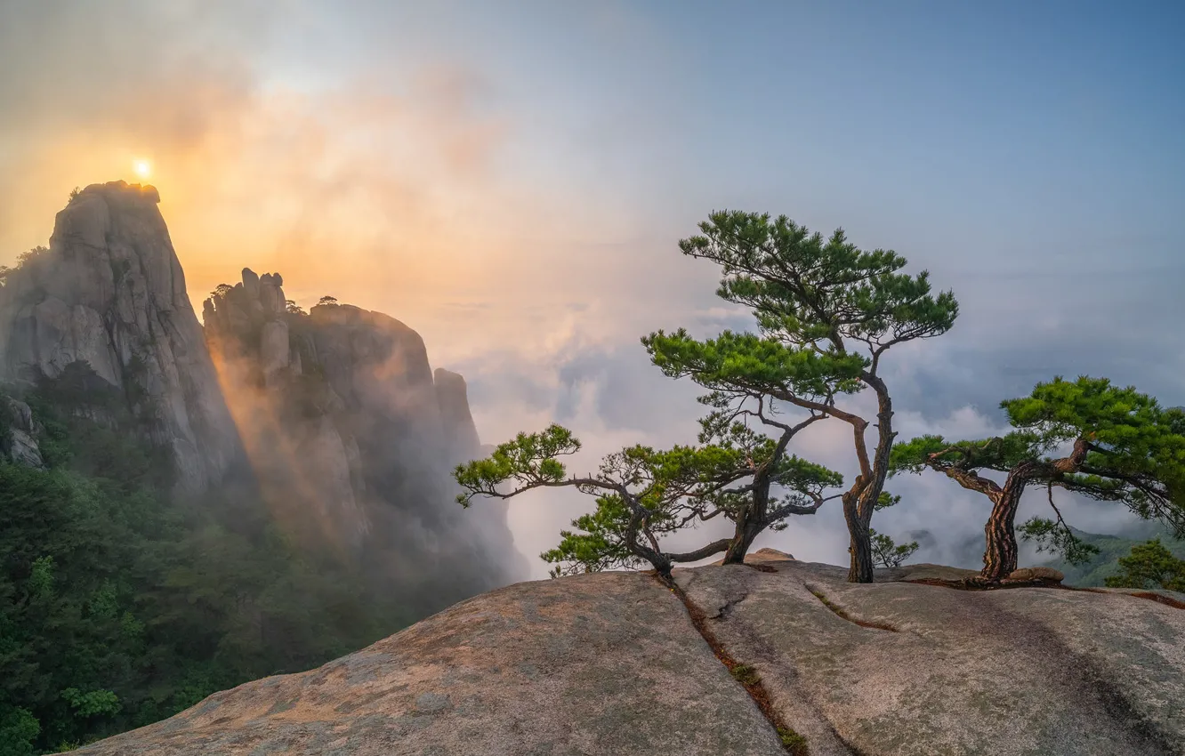 Photo wallpaper the sky, the sun, light, mountains, fog, open, rocks, height