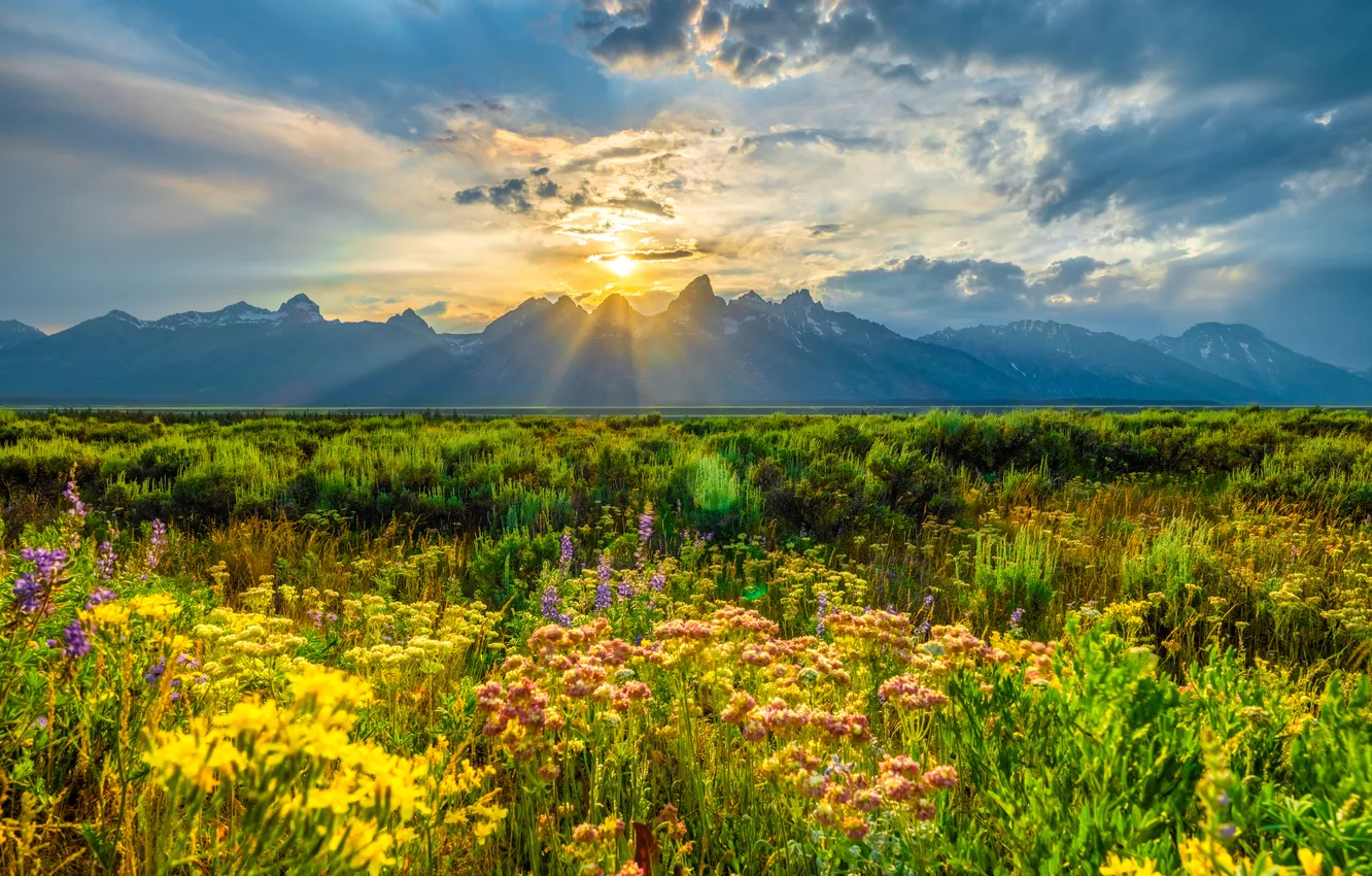 Photo wallpaper the sun, clouds, mountains, USA, Grand Teton National Park
